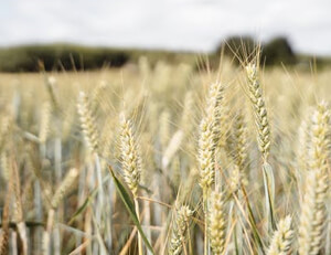 clash安装:win10 怎么关掉平板模式 win10系统怎么退出平板模式